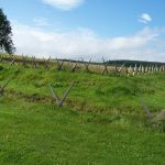 Pairs of double-ended wooden stakes lashed together to form a palisade and ditch obstacles. Reconstructed by the Ermine Street Guard. Image: MCB Pairs of stakes with points at either end lashed together as obstacles.