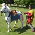 Long-reining a horse at ROMEC XVIIII (2016). Walking. Image: MCB Rider walks behind a moving horse holding two long reins.