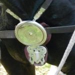 Replica phalera junction from horse harness, with two junction loops attached, a horizontal strap on a strap slide, and a hinged pendant. Reconstructed by the Ermine Street Guard. Image: MCB A central silvered phalera has two straps on loops towards the top, a leather strap horizontally, and a trefoil pendant beneath.