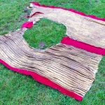 Reconstruction of the Dura-Europos copper-alloy scale trapper from horse armour. Image: MCB Horse armour laid out flat on grass, with a central hole for the saddle and bronze scales edged with red on either side of the trapper and along the central long axis.