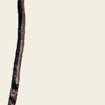 Pilum head and shank from Kempten, the shank being bent just below the head. Image: Xocolatl Top portion (head and shank) of the iron of a pilum , bent just below the pyramidal head.