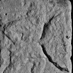 Pedestal relief from Mainz, thought to be from the HQ building (principia), depicting a legionary facing right, with a curved oval shield with a spina and possibly butterfly boss, with his sword drawn. There is evidence of a shield blazon just visible. The relief is heavily damaged, possibly by erosion. Image: MCB (CC BY-SA 4.0) Heavily eroded pedestal relief of a soldier moving from left to right.